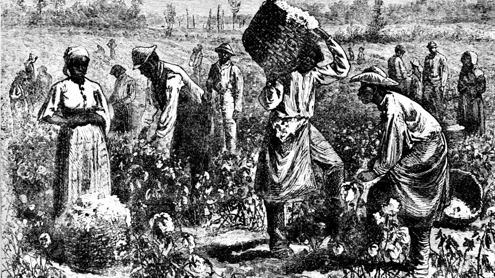 From Shackles to Freedom: Tracing the Journey of Slavery